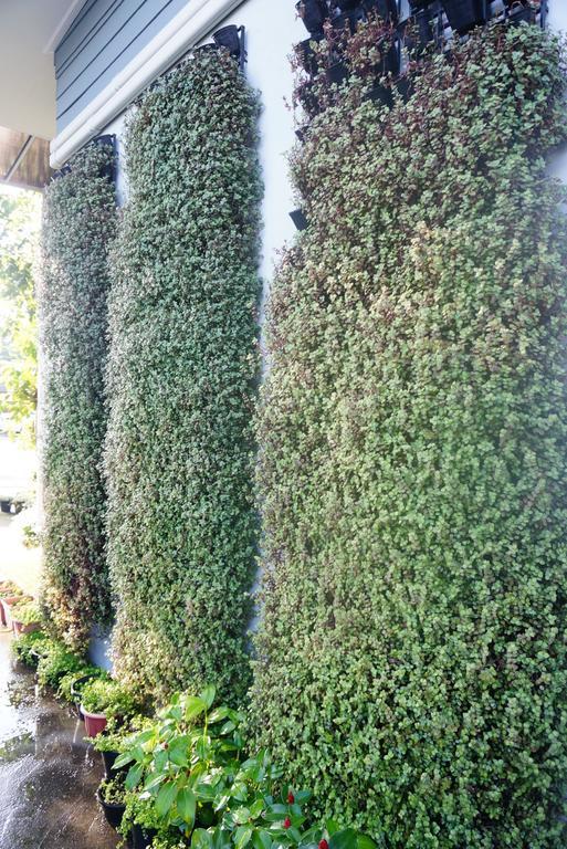 Hotel The Rhea Udon Thani Exterior foto